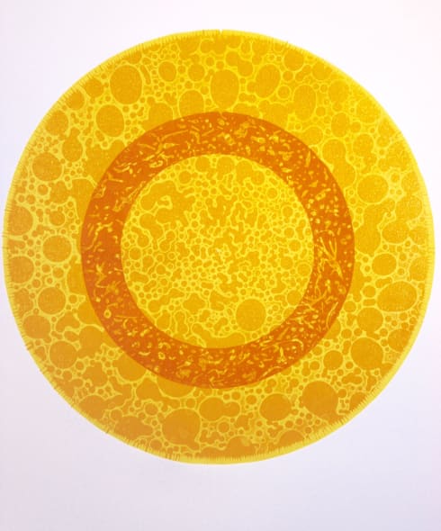 Orange Disk Orbit