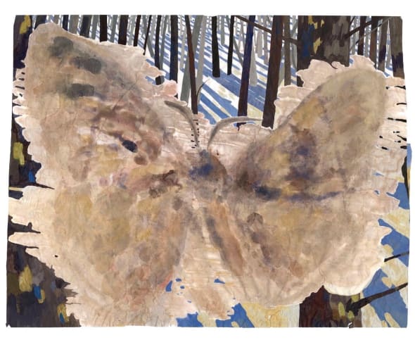 There's a Moth in the Woods!
