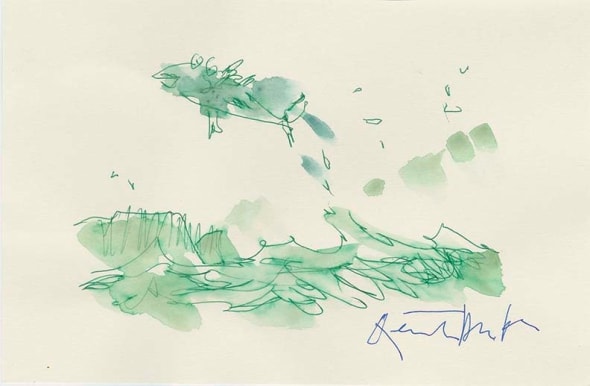 Flying fish, 2025