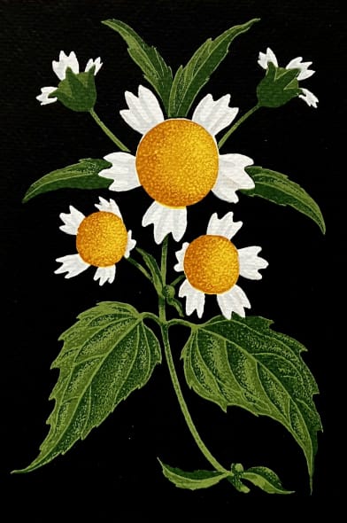 Gallant Soldier