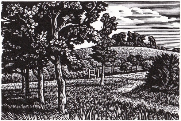 Wittenham Clumps
