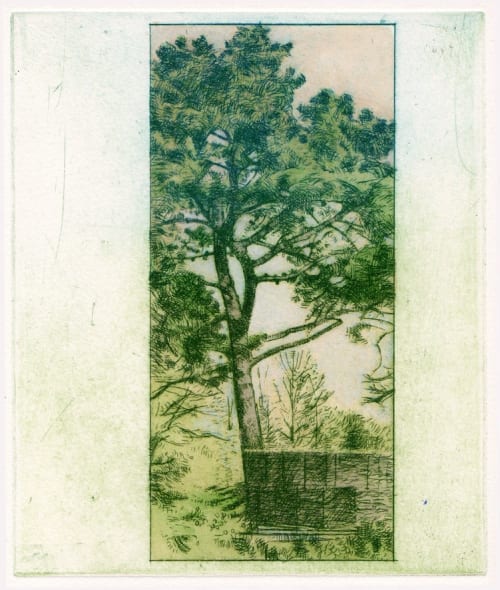 Hyde Hall (Tree Study)