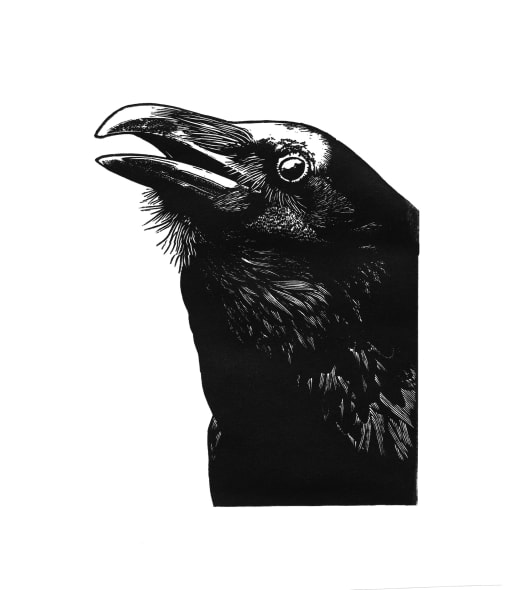 Quoth the Raven 'Nevermore'