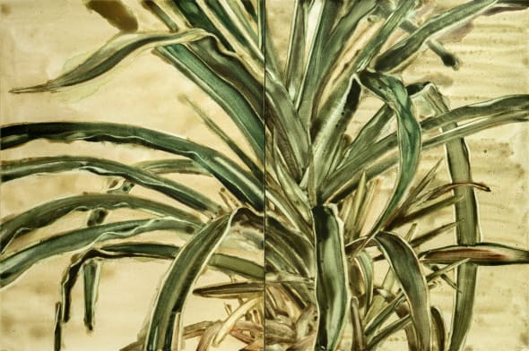 Interior with Plant, after Lucian Freud