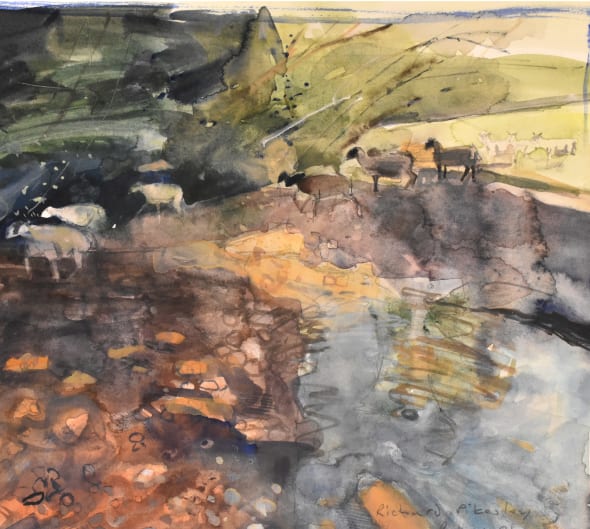 Sheep in the stream, Axe Valley