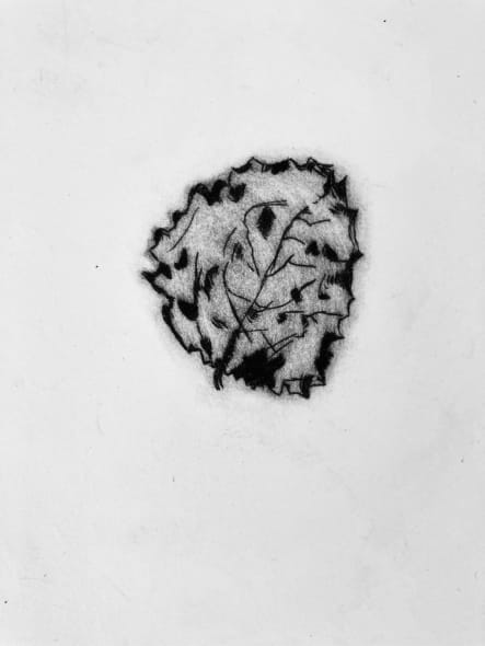 Leaf in Snow