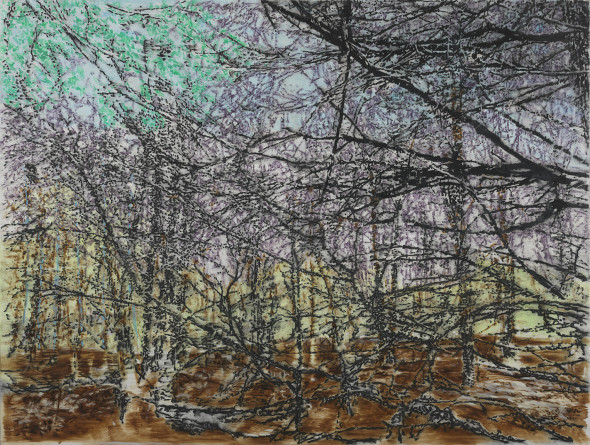 <span class="artist"><strong>Ena Swansea</strong></span>, <span class="title"><em>NC woods</em>, 2019</span>