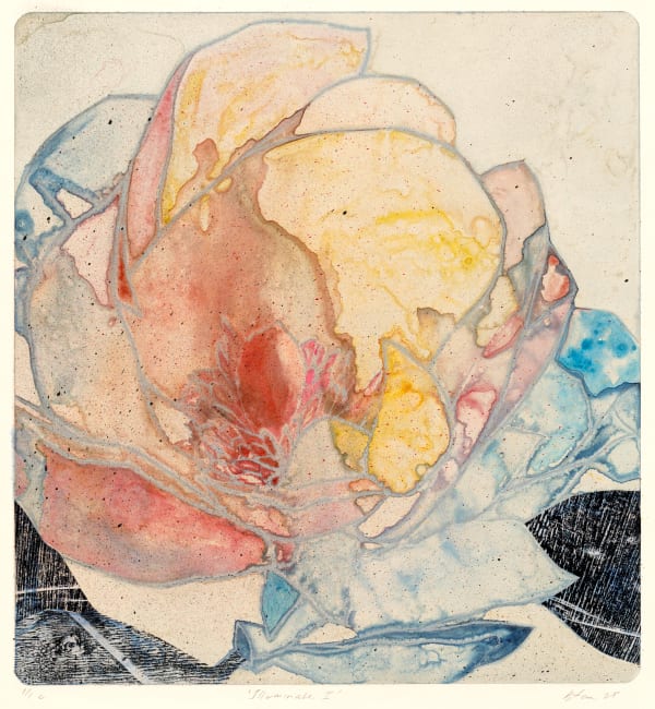 Belinda Fox, Illuminate I - c