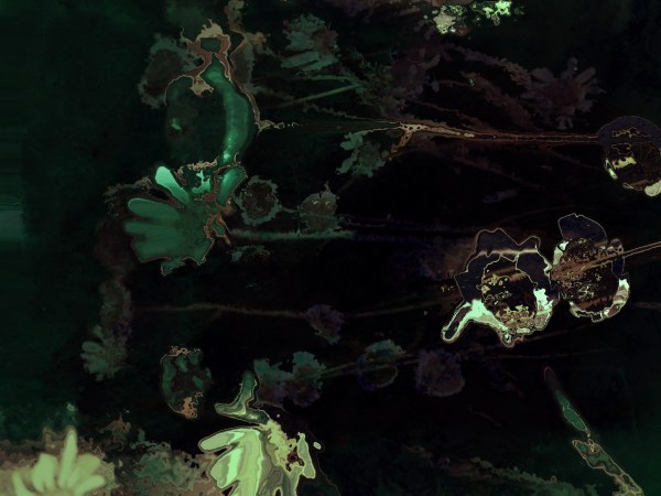 Chris Friel, Anecdotes VI, 2020