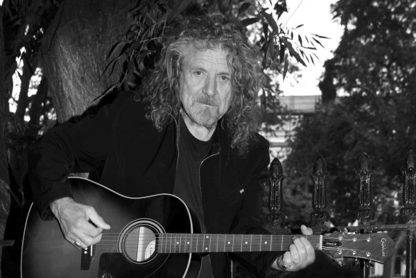 Christina Jansen, Portrait of Robert Plant No.2, 2020