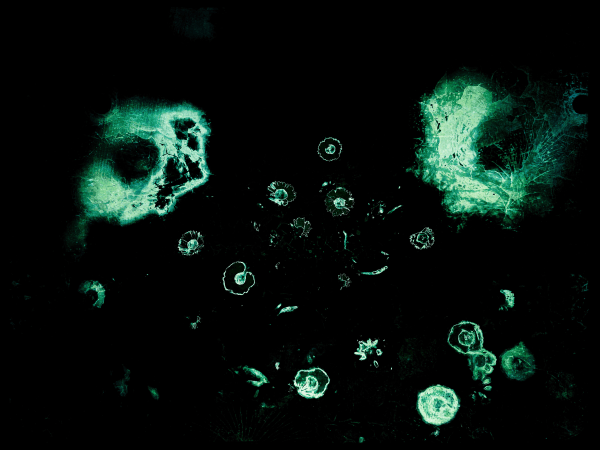 Chris Friel, Anecdotes I, 2020