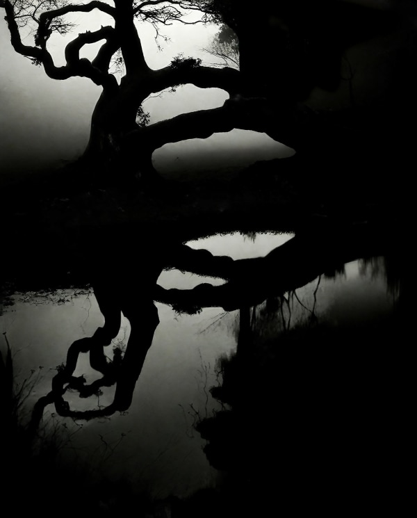 Chris Friel, Lake 011223, 2023