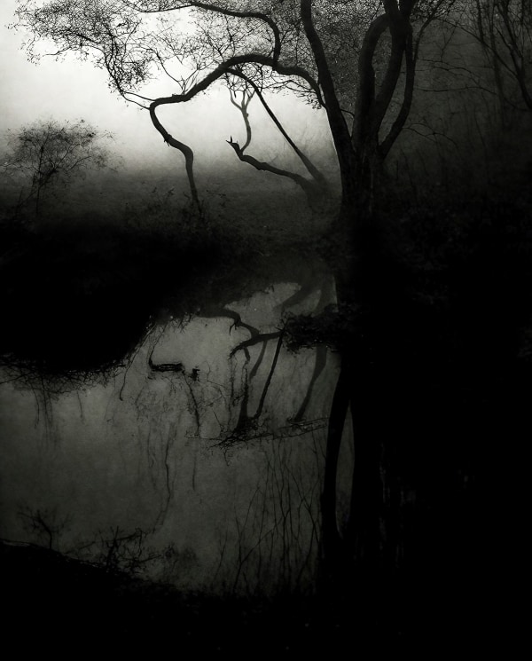 Chris Friel, Lake 021223, 2023
