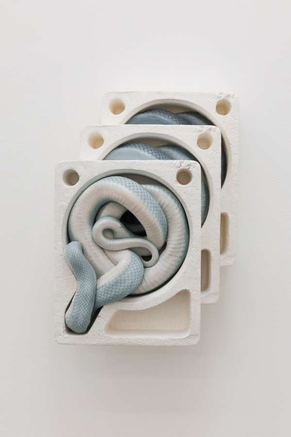 Polly Morgan, 'Explore the Range', 2025, Polyurethane, acrylic paint, oil paint, varnish, iridescent powder, 31.5 x 22.5 x 10.5 cm. Courtesy of the artist and Brooke Benington. Photo: Rob Harris.