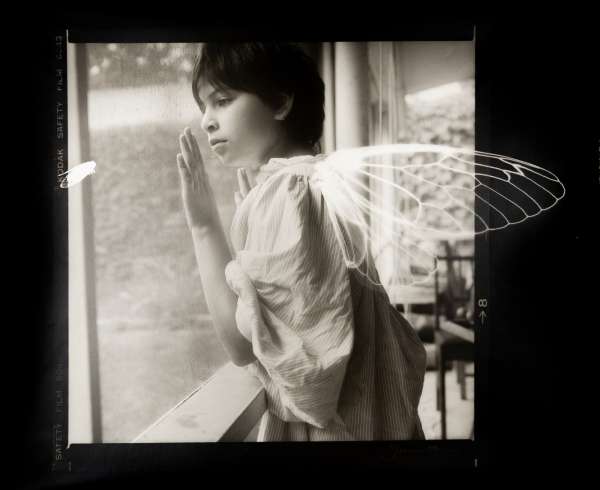 Joanne Leonard, 'Winged Ones', 1985, Silver print and cliché verre. Courtesy of the Artist and HackelBury Fine Art
