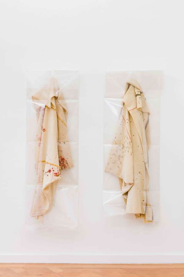 Liz Magor, 'Open and Closed', 2018. Courtesy the artist and Marcelle Alix, Paris. Photo: Kunst Dokumentation.com.