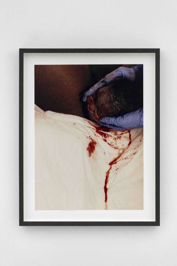 Harley Weir, 'Birth', 2017, C-type print, 39.3 x 29.4 cm. Courtesy the artist and Hannah Barry Gallery. Photo: Damian Griffiths