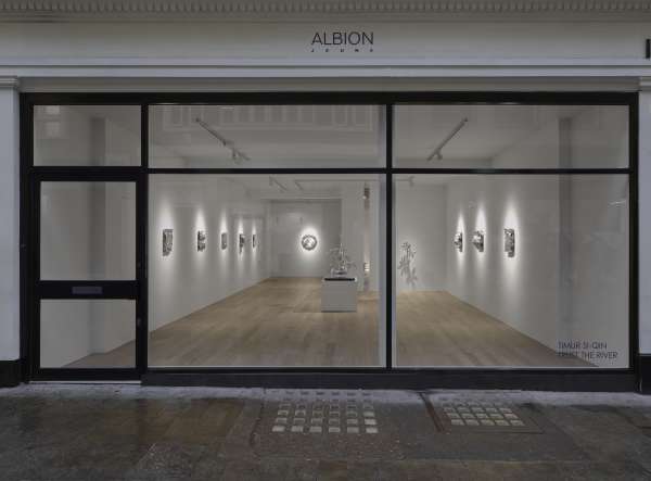 Albion Jeune