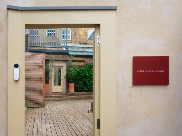 Cecilia Brunson Projects