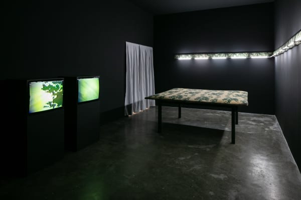 Anna Bella Geiger, MESA, FRISO E VIDEO MACIOS, 1981