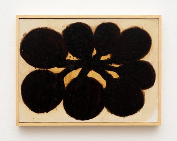 Solange Pessoa, Untitled, 2013 - 2017