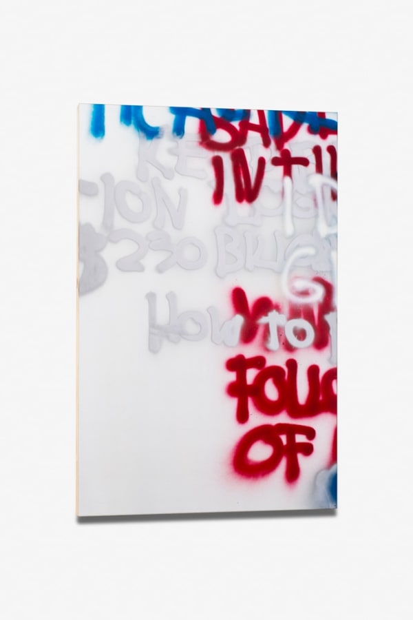 Stefan Bruggemann, No Problem, 2013