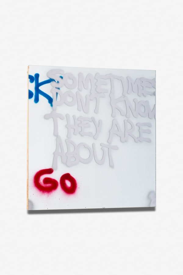 Stefan Bruggemann, Go, 2013