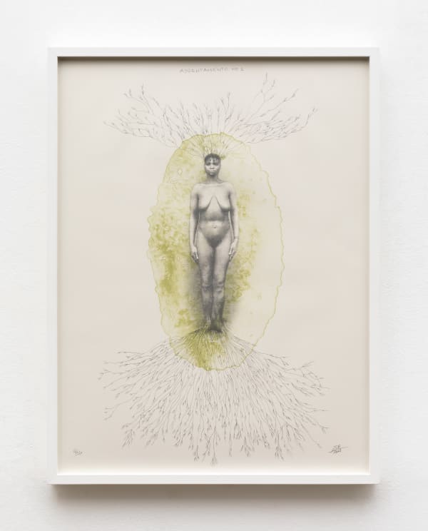 Rosana Paulino, ASSENTAMENTO N. 1, 2013
