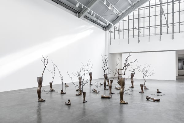 Antonio Obá, Ka’a pora, 2024