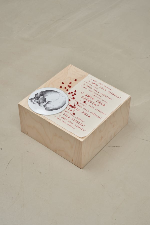Rosana Paulino, Untitled | Sem Título, 2025