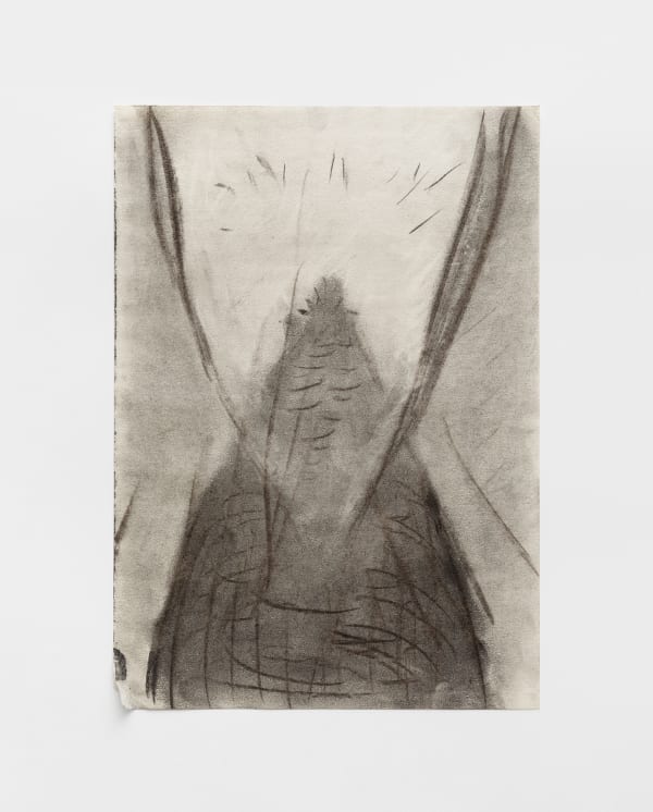 Akiko Kinugawa, Untitled | Sem título, 2025