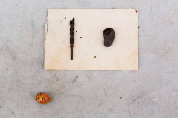 Paulo Nazareth, CA - ELEFANTEHIPOPO, 2013-2014