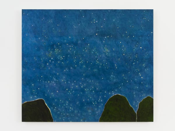 Patricia Leite, Constelado, 2024