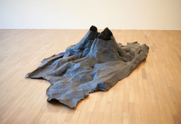 Mariana Castillo Deball, Tree Trap Sao Paulo, 2013