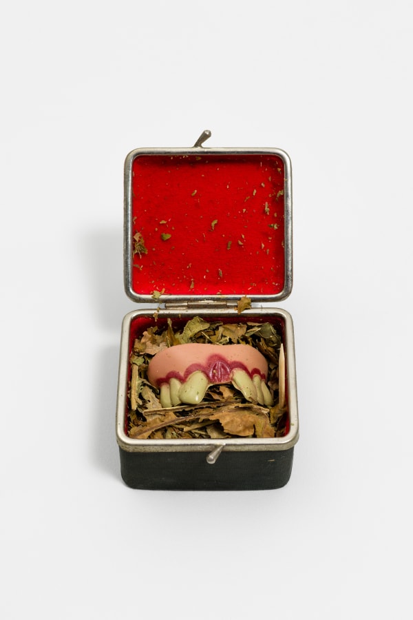 Paulo Nazareth, Sorriso de Mona Lisa, 2008