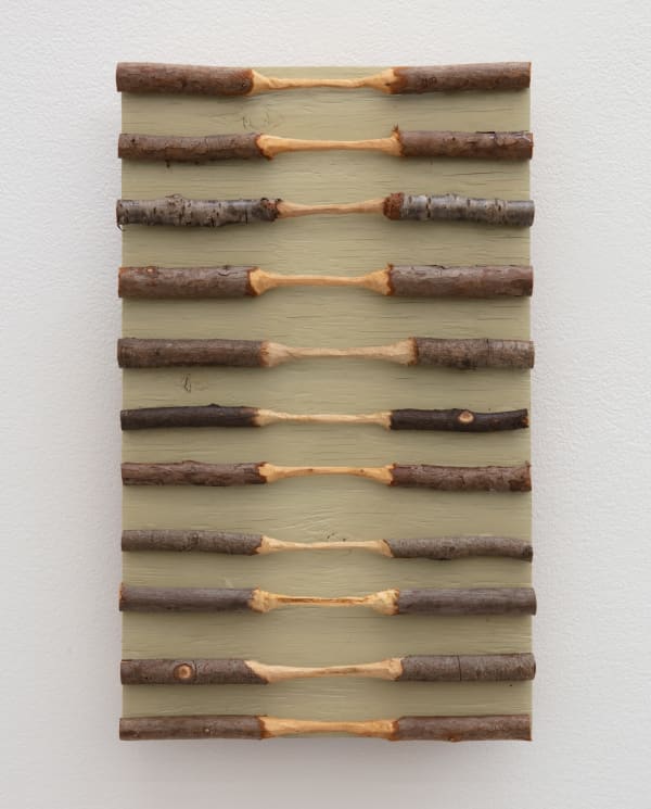 Kishio Suga, Flowing Against Topographic Lines, 2009