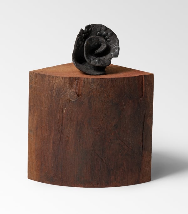 Phoebe Collings-James, black black rose, 2025