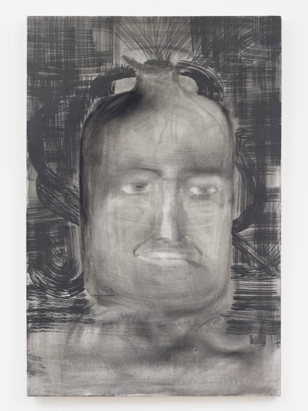 Stanislava Kovalcikova, Meine Natur, 2013