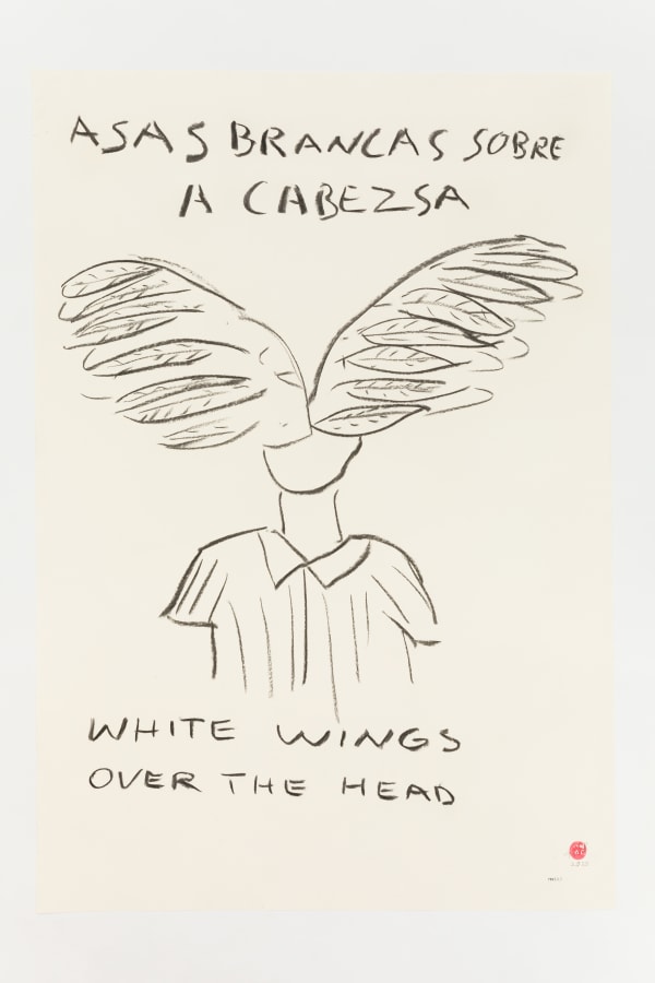 Paulo Nazareth, A WHITE WINGS OVER THE HEAD, 2020