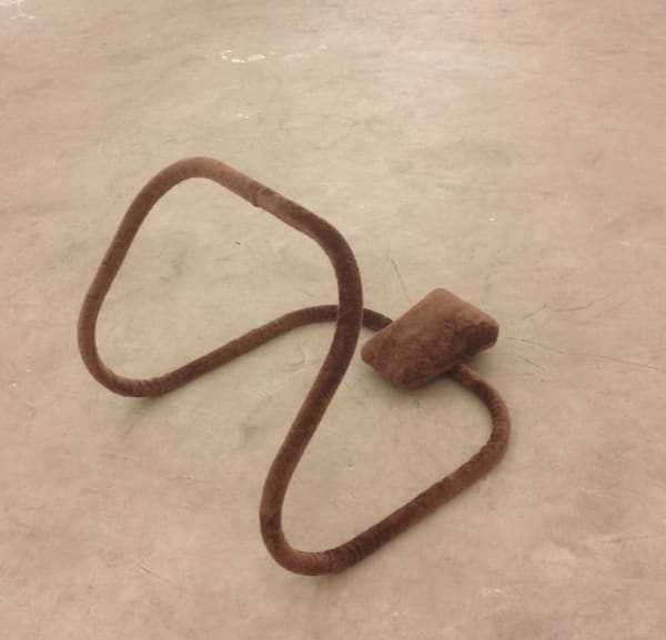 Luiz Roque, Cowfitness, 2002-2017