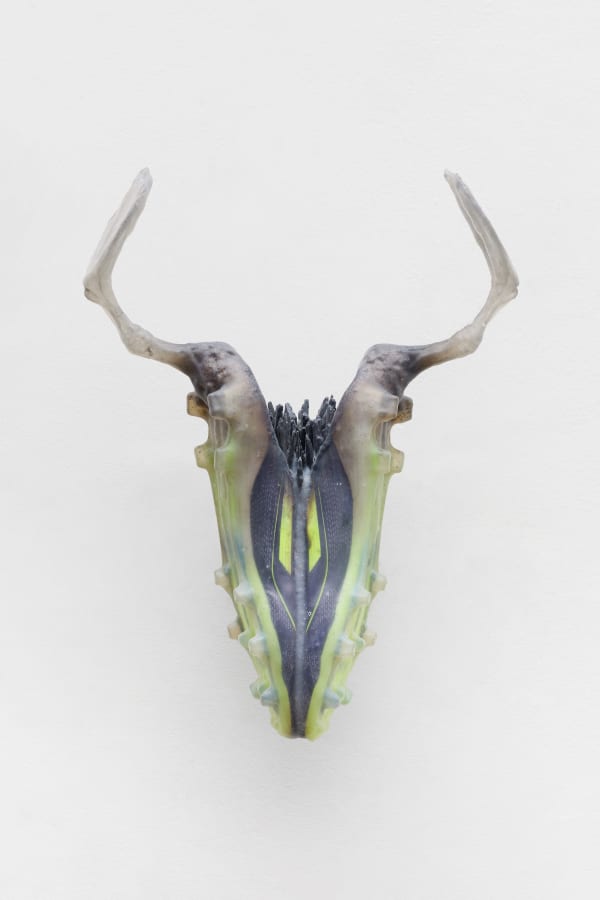 Adriano Amaral, Untitled | Sem título, 2025