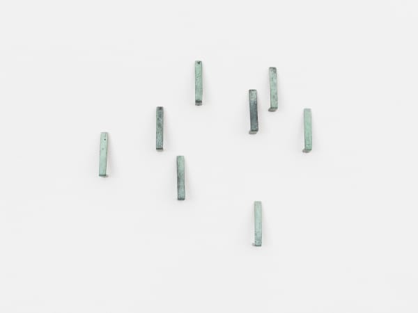 Adriano Costa, Noses, 2019
