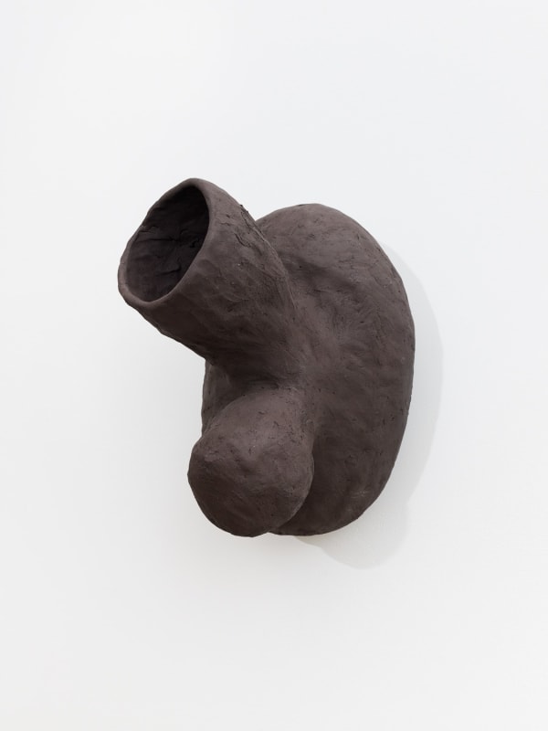 Solange Pessoa, Untitled, 2019