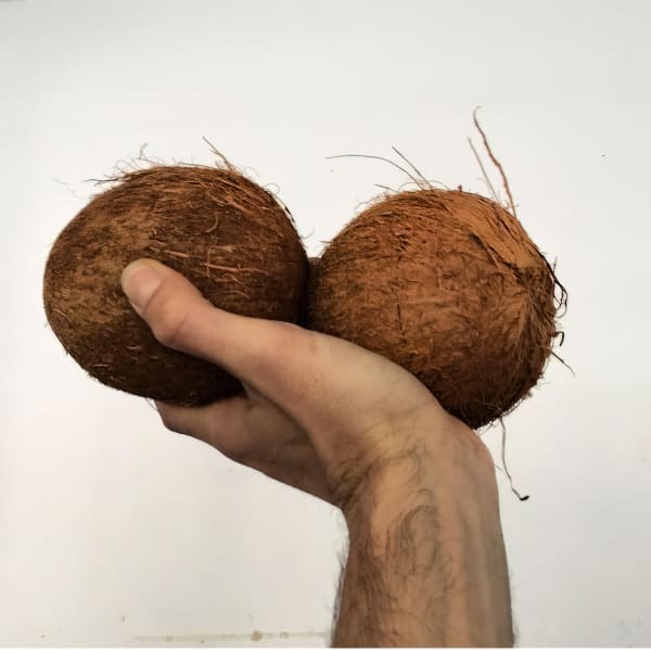 Adriano Costa, Coconuts, 2022