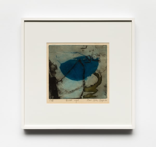 Anna Bella Geiger, Do amor ao bocado azul, 1966