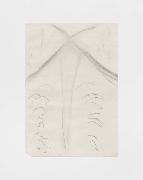 Akiko Kinugawa, Untitled | Sem título, 2025