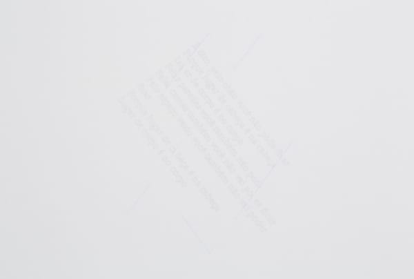 Daniel Steegmann Mangrané, É dito: pelo chão você não pode ficar, 2016