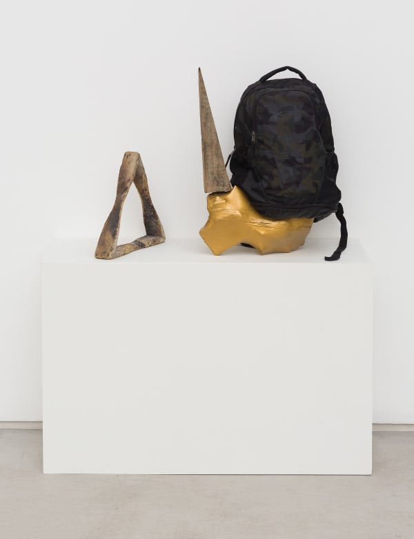 Adriano Costa, Unicórnio do Sul / Southern Unicorn, 2018