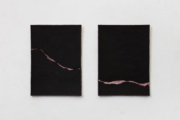 Paloma Bosquê, Plates / Placas, 2020