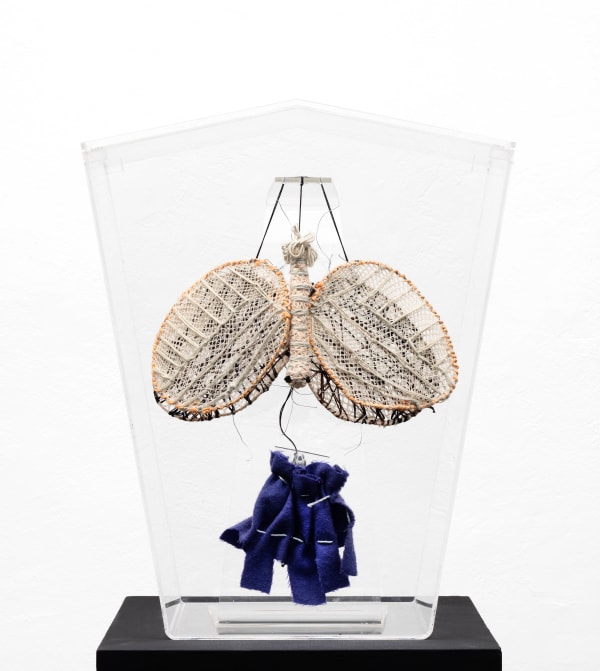 Clemen Parrocchetti, Moths, 1998-1999